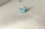 [Eternal Jewelry]BUTTERFLY TURQUOISE EARRINGS SILVER - Image 3