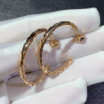 [Eternal Jewelry]SERPENTI EARRINGS - Image 5