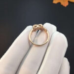 [Eternal Jewelry]JEUX DE PINK GOLD DIAMOND RING - Image 5